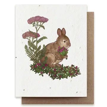 Seed Greeting Cards