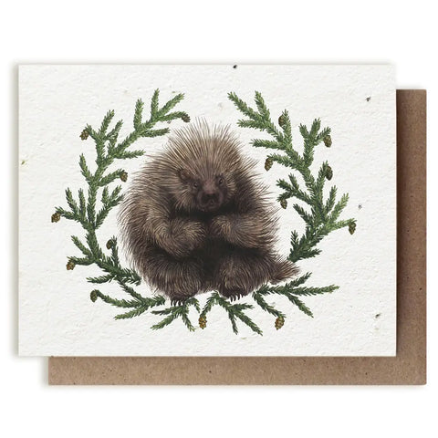 Seed Greeting Cards
