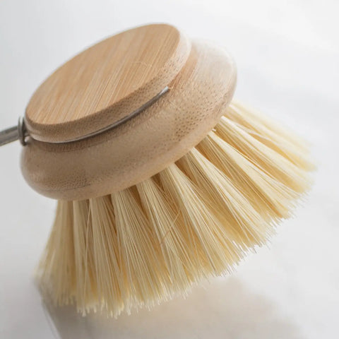 Casa Agave Dish Replacement Brush Head