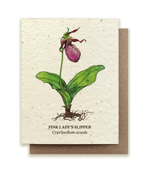 Seed Greeting Cards