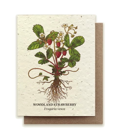 Seed Greeting Cards