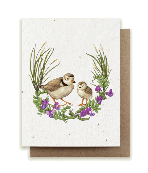 Seed Greeting Cards