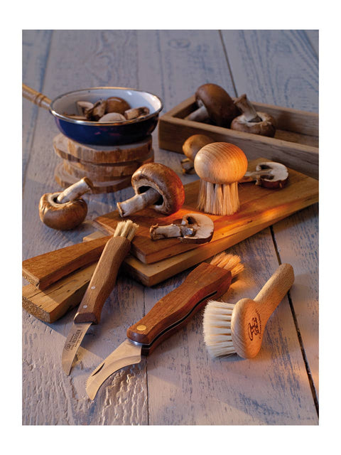 REDECKER Mushroom Brush Long Handle 5"