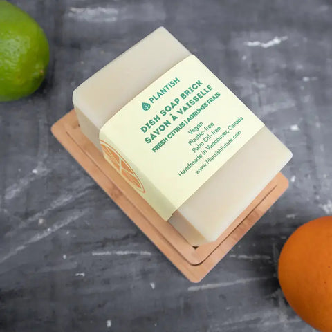 Plantish Solid Dish Soap Bar