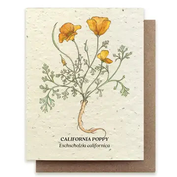 Seed Greeting Cards