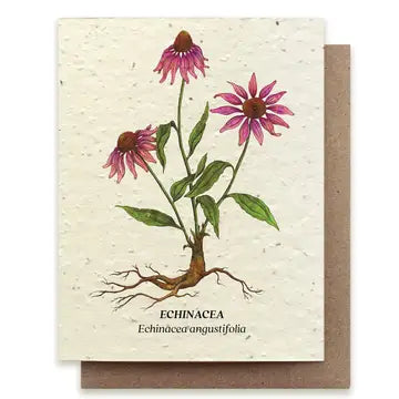 Seed Greeting Cards