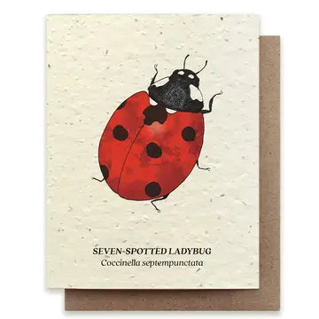 Seed Greeting Cards