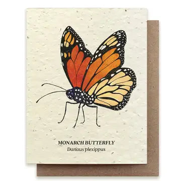 Seed Greeting Cards